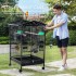 38'' Large Metal Bird Cage with Open Top, Standing Parrot Cage with Wheels, Spacious and Roomy Bird Cage with Removable and Washable Tray, Feeder, Waterer, Suitable for Budgies, Parakeets, and Conures