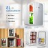 TDOO Mini Refrigerator, 8L Tempered Glass Panel & Adjustable Digital Temperature Control, Portable Thermoelectric Cooler and Warmer for Office, Food, Drinks, Skincare, Breast Milk, Car (Silver)