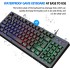 LED Rainbow Backlit 87-Keys Mechanical Gaming Keyboard, Waterproof Keyboard,Compact Keyboard with 11 Multimedia Shortcut Keys,USB Wired Keyboard for PC Gamers Home Office (Black)