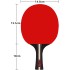 Ping Pong Paddle Set - Includes 2 Player Rackets, 3 Professional Table Tennis Balls, Portable Storage Case, Home Indoor or Outdoor Play, Advanced Spin, Speed, Control for Kids and Adults