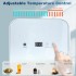 TDOO Mini Refrigerator, 8L Tempered Glass Panel & Adjustable Digital Temperature Control, Portable Thermoelectric Cooler and Warmer for Office, Food, Drinks, Skincare, Breast Milk, Car (Silver)