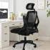 INGUNAR Ergonomic Office Chair,High Back Mesh Computers Chair with Thickened Cushion, Home Office Desk Chair with Adjustable Headrest & Lumbar Support, black