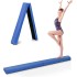 Folding Balance Beam, Gymnastics Floor Beam for Kids/Adults, Non Slip Rubber Base Gymnastics Beam for Training Home Gym Use